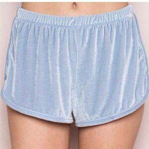 Brandy Melville - Lisette Velvet Shorts